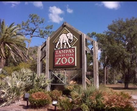 Bush Garden Park Nearby Apartments Tampa Zewnętrze zdjęcie
