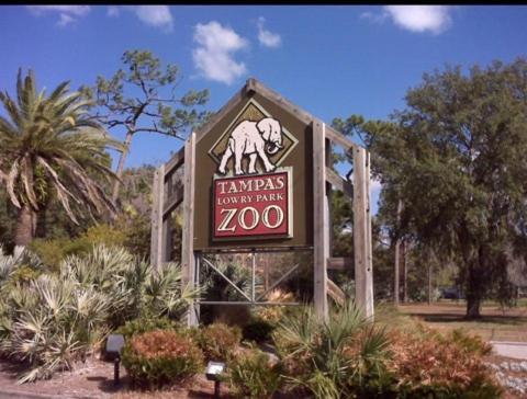 Bush Garden Park Nearby Apartments Tampa Zewnętrze zdjęcie